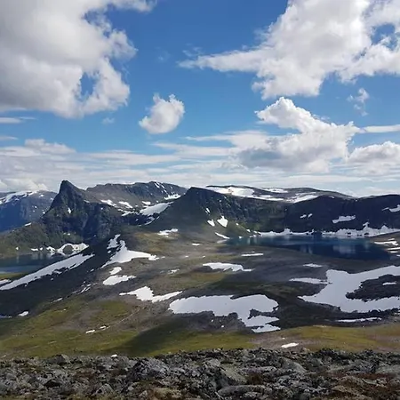 Frydenhoiden